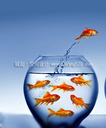 養(yǎng)魚(yú)缸