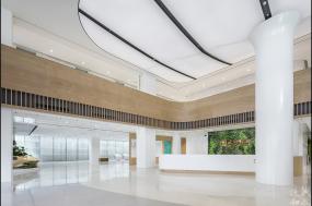 大辦公室室內(nèi)設(shè)計(jì)效果圖2018圖片